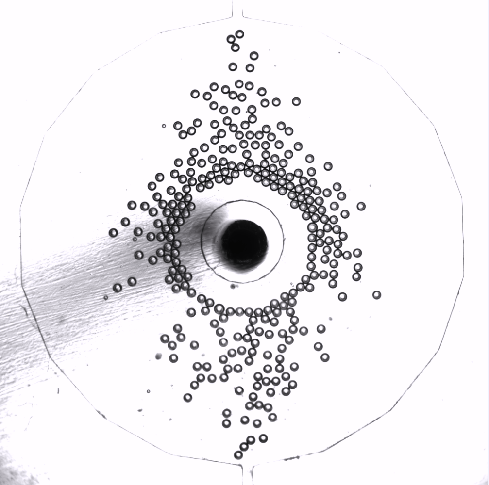 1728477761534362.png e17db27c426b7f989f53ecfff3e237e.png