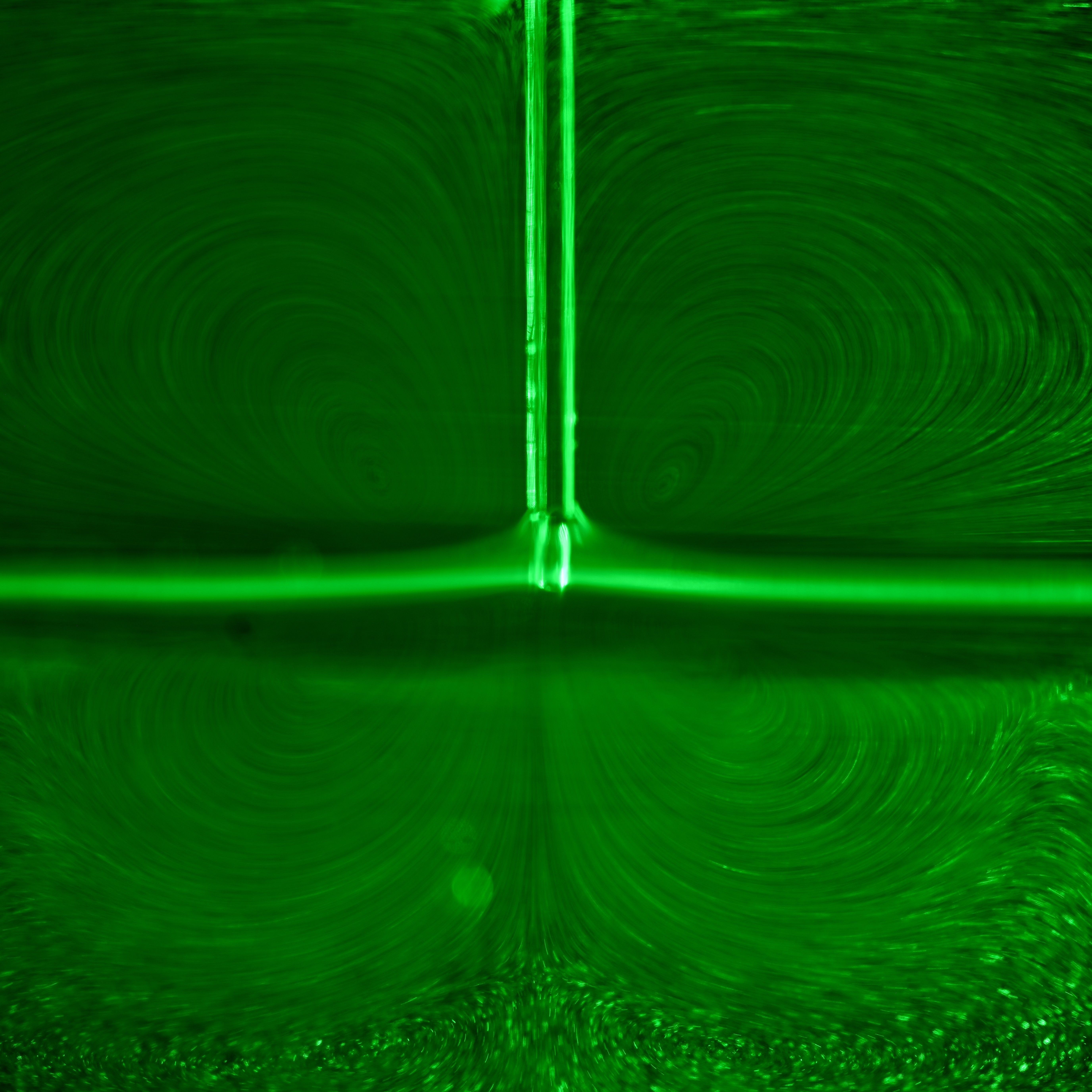 1770263863316528.jpg